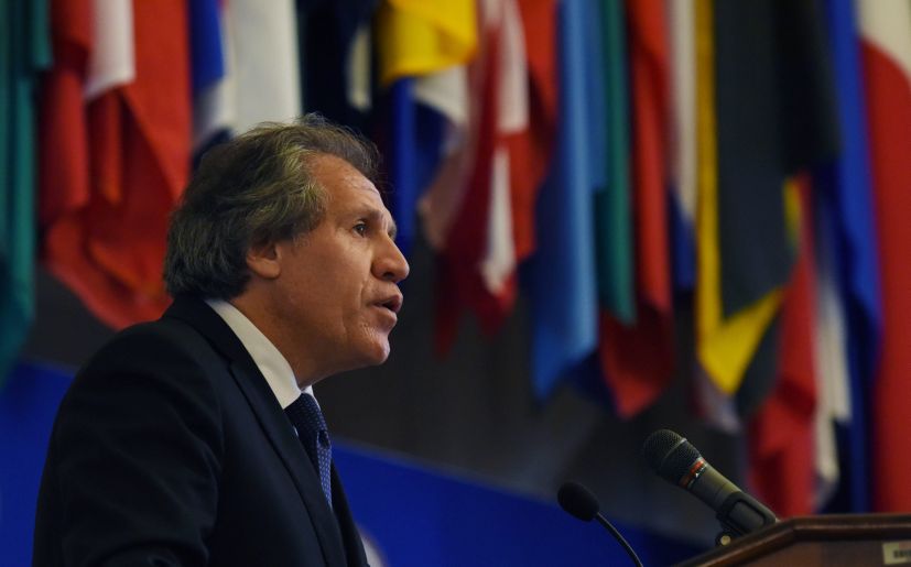 Luis Almagro, la pera del olmo