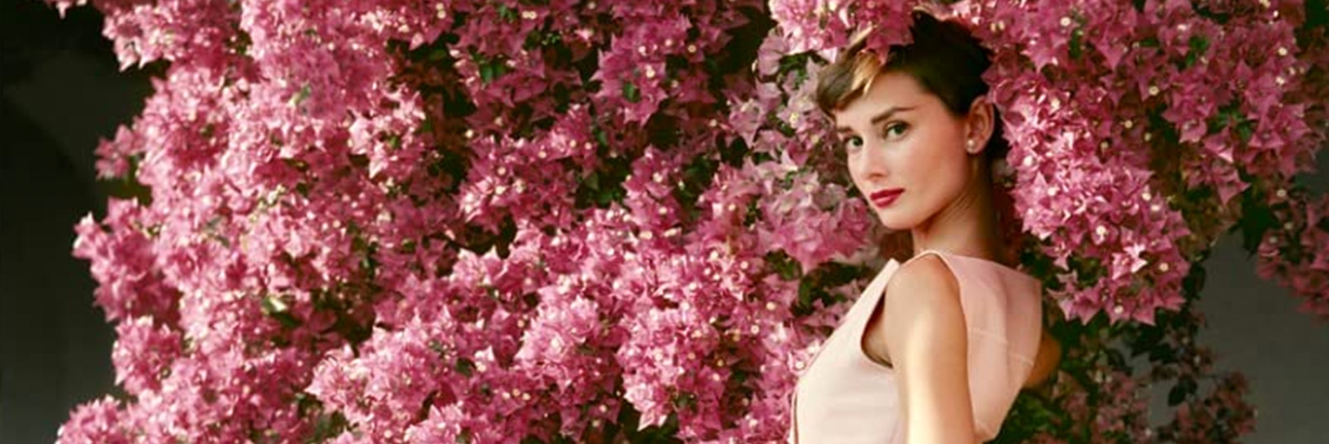 audrey documental helena coan cine aparte