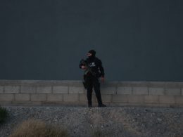 estrategia nacional de seguridad pública