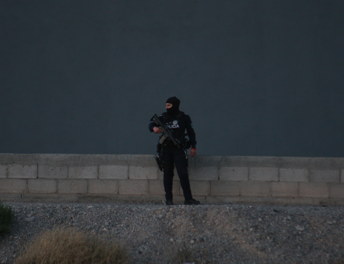 estrategia nacional de seguridad pública